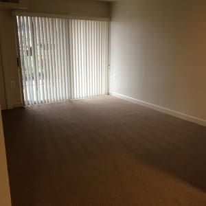 Livingroom with wall to wall carpet