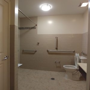 Accessible toilet and shower