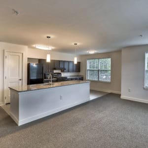 Living-Room_3800-Saint-Barnabas-Rd-Suitland-MD_Belnor-Senior-Residences_RPI_II-104817-32_v1_current