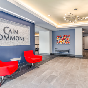 Cain Commons Professional 13