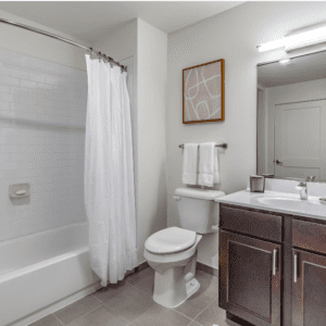 Cain Commons Professional 16