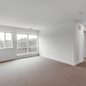 Cain Commons Professional 17