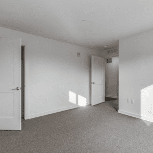 Cain Commons Professional 19