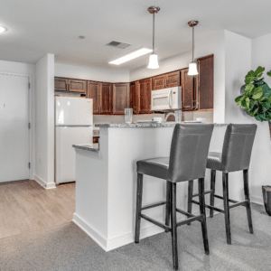 Cain Commons Professional 3