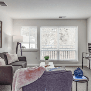 Cain Commons Professional 4