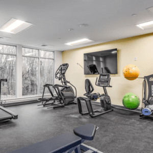 Cain Commons Professional 7