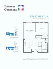 Patuxent Commons - Apartment 1A